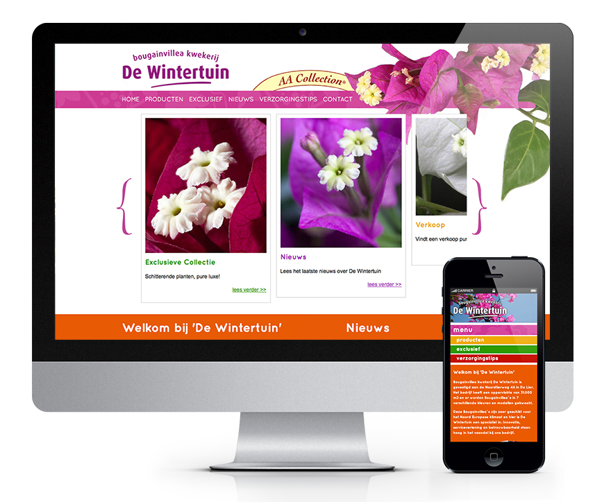 Website en aparte mobiele website