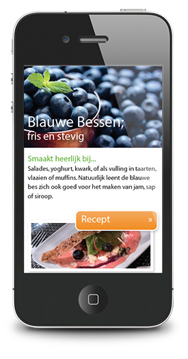 Mobiele webconcept voor fruitmasters