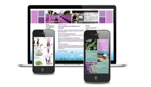 mobiel-webdesign-en-qrcodes-op-plantlabels-voor-viva-lavandula